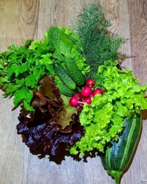 ������ ����� �������� �������������: ������� ������� � ������