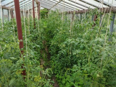 �������� ����� �����? �������, ��� ������ ������ � �������� ������