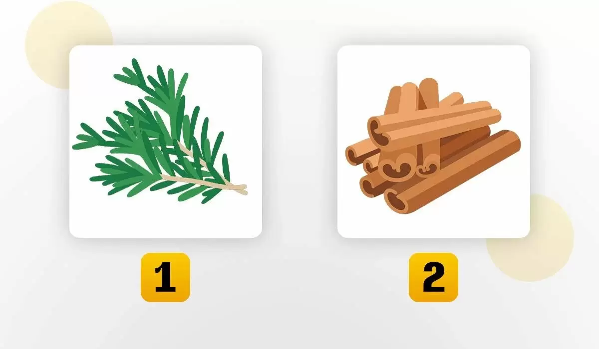 Психологический тест: что скрывается за вашим выбором?