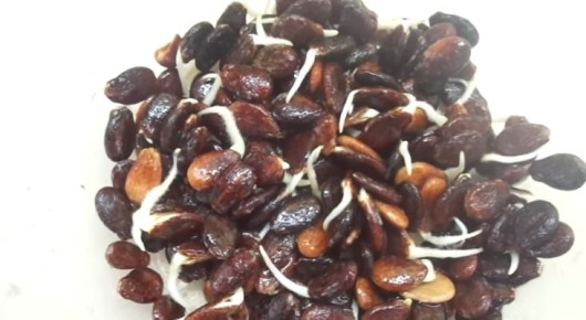 ������� ��������� ������������ �������� �����