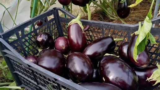 ��� ��������� ��������� ��������� � ����� ��������: ������ � �������� ��������