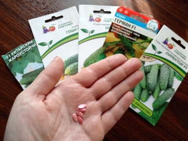 Апрель — идеальное время для посева овощей и цветов