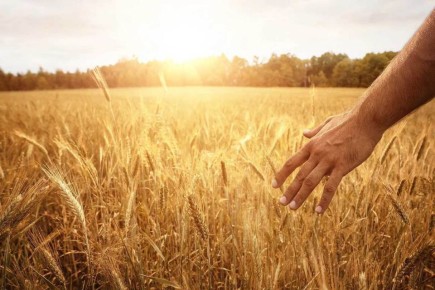 Как сосредоточенность может изменить вашу жизнь: путь к минимализму