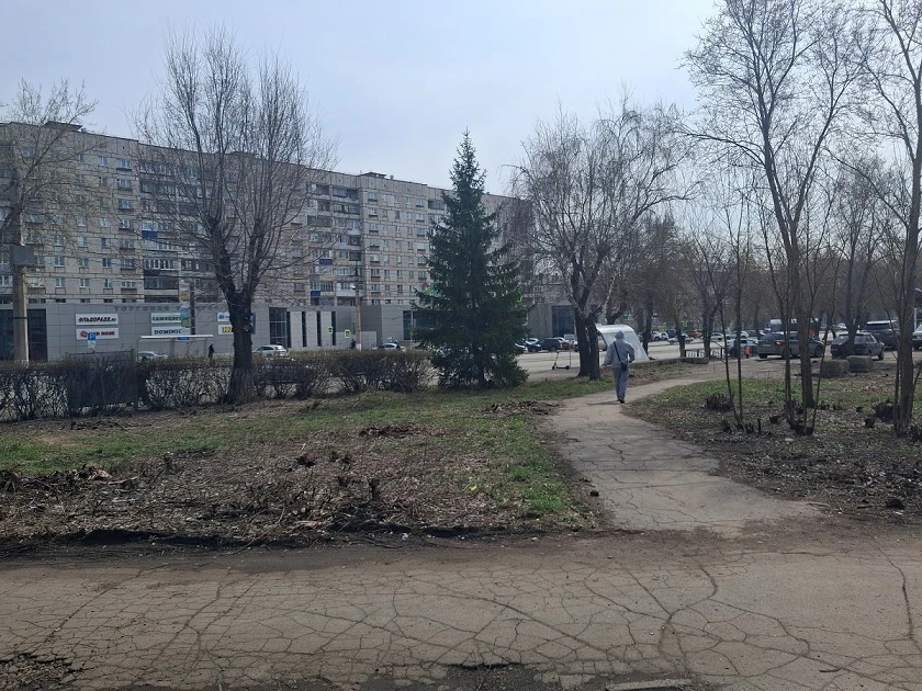 Быть ли яблоням на проспекте Карла Маркса? Быть ли яблоням на проспекте Карла Маркса?