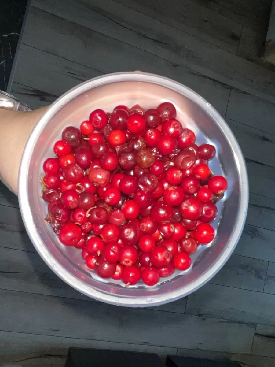 Брусничная эйфория в Сосновоборске: секреты выбора и рецепты для вдохновения