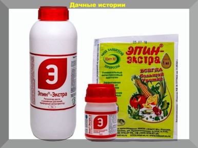 Весна для хвойных: как защитить растения от солнечных ожогов