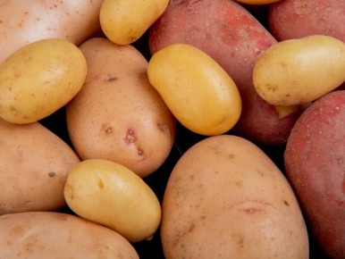 ��� �������� ��������� �� ����������� �����: ����������� ������ ������