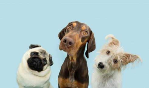 ������ ������ ��������� ������: ����� ���������� ����������