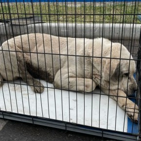 ������������ ������� �� ���������� ������ ������������ � ��� ��� � �������������