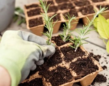 ��� ��������� ����������� �������� � �������: ������� ��������� ����������