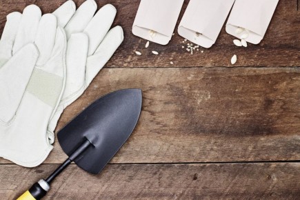 ����� ������ �� ������: ��� ��� ��������� ����� � �������