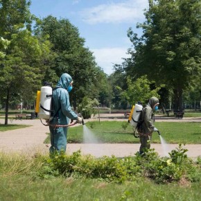 � 21 �� 28 ������ � ������ ����� ��������� ��������� ������ �� ������