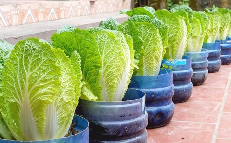 ��� ���������� ������� ��������� ������� �� ����������� ������� ���