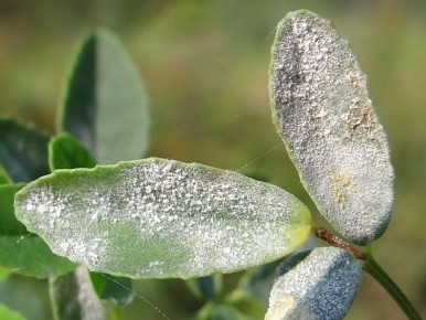 ��������� ����: ��� �������� ��������� �������� �� ���������� �����