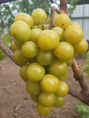 �������� ����: ��������� ����� ��� ������ ������� � ��������� ������