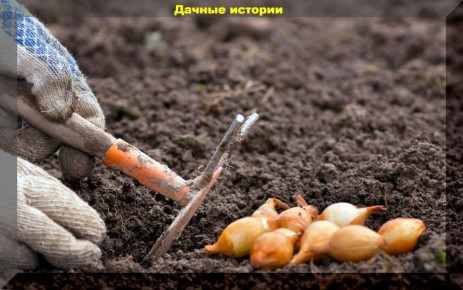 ����������� ������ �� ������� ���� � ������� ��� ������� ������