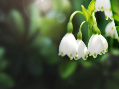 �������: ������� ��� ������ ��� ������ ����?