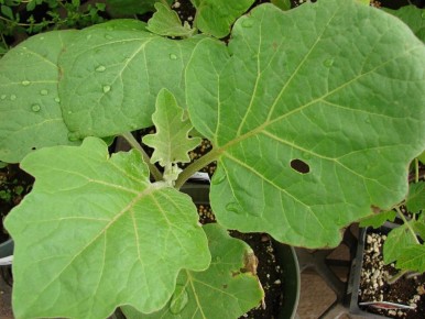 ����� ������ ����������: ����� � ������� � ������� ������������� � ��������