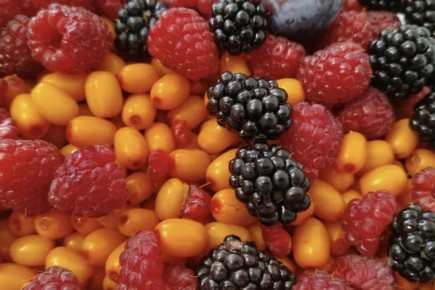 ����������� ��������: ��� ��������� ������� �����?