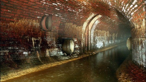 ����� �������� ���� ��� ��������������� ����: ��������������� ������ ������ ������� �������