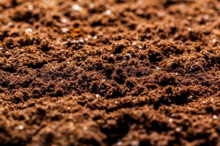 ��� ����������� ����� � ����� ��� ������� ������