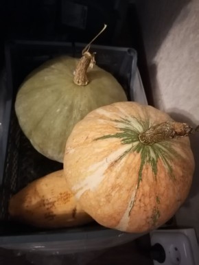 ��������� �������: ���������� ������, ������� ������ ������ �����