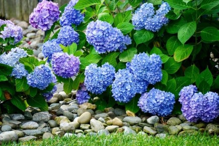 ������ �� ����� �� ���������� �������������: �� ����������� �� ��������