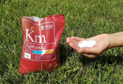 ��������: ������� ����������� ��������� ����� ��������