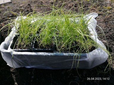 ��� ��������� �������� �������: ������� ��������� ������