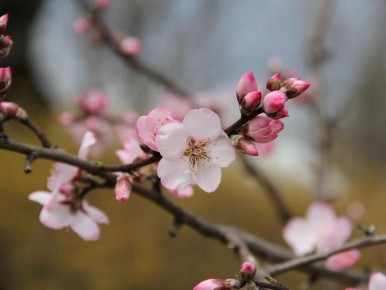 ���������� ������: ������ ��������� ����� � �� �������� ��� ����������