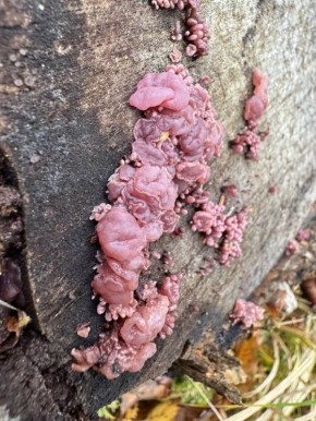 ������ ���� �� ������� ������� ������ ��������� ����� � ���������