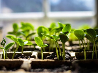 ������, ������� �� ��������: �������� ������ ����� ��� ������ ����