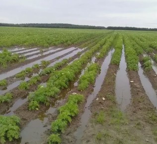 �������� ������: ��� �������� ������ �� ������� � ���������