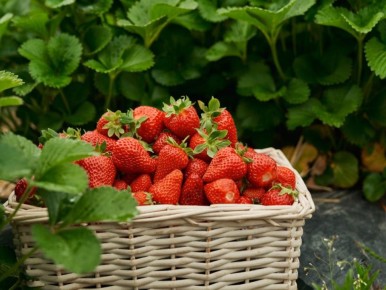 ������� �������� ��������: ��� ��������� ������������� ��� �������� ������