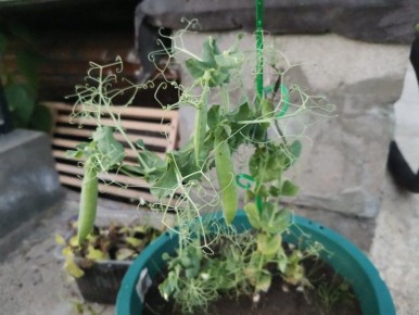 ������� � �� ������������ �����������: ��� ��� ��������� ����� ������