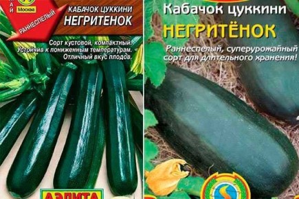 ��������� � ��������� ������� ��� ����-������� �������� � ������� ����������