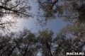 ������������� ������� ��������� � ���������� �������� �� ������ � ������� �����������