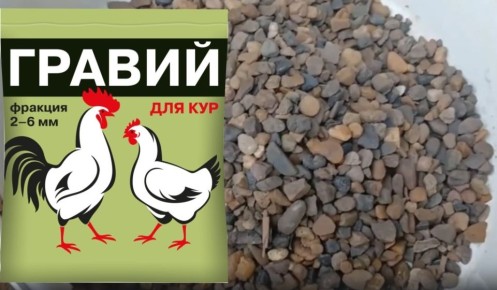 ����� ������ ����� ������: ������ ������� ��� ��������