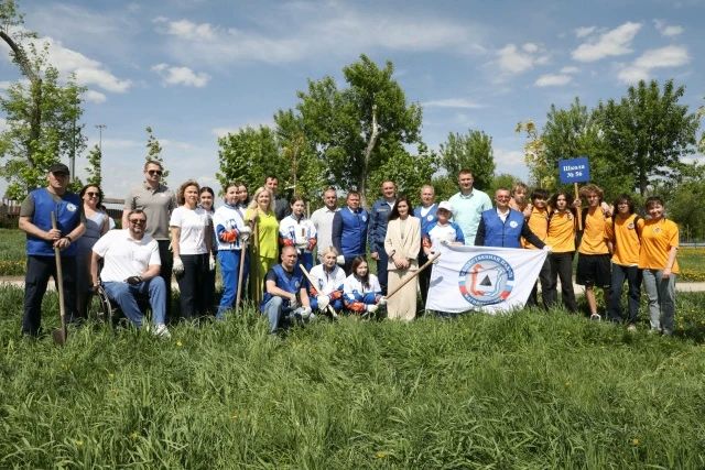 В парке у Вечного огня появилась молодая, полная жизни кленовая аллея