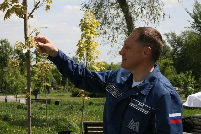 В парке у Вечного огня появилась молодая, полная жизни кленовая аллея В парке у Вечного огня появилась молодая, полная жизни кленовая аллея
