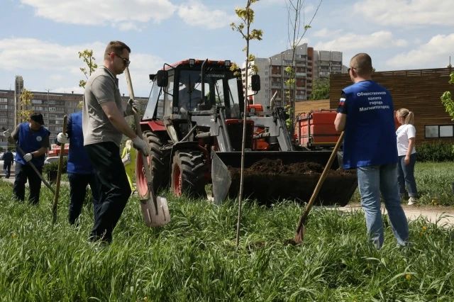 В парке у Вечного огня появилась молодая, полная жизни кленовая аллея В парке у Вечного огня появилась молодая, полная жизни кленовая аллея