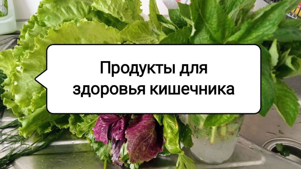 Овощи для здоровья кишечника: секреты крепкого иммунитета и хорошего самочувствия