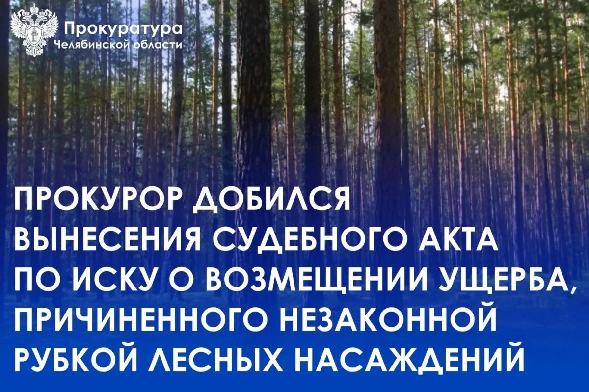 В ходе надзорных мероприятий Магнитогорский природоохранный прокурор выявил факт незаконной рубки лесных насаждений на территории Верхнеуральского участкового лесничества неустановленными лицами