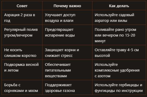 Секреты идеального газона: как создать зеленый оазис в условиях московского климата