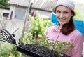 Овощные секреты: как в домашних условиях подготовить семена к посадке