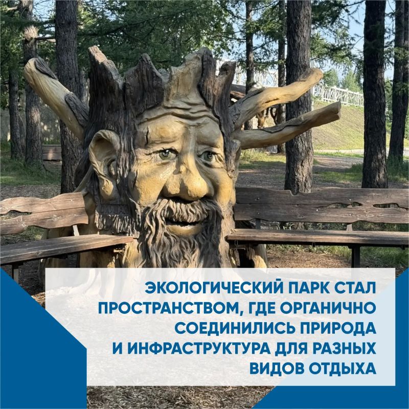 Экологический парк - настоящий лесной оазис прямо в центре города Экологический парк - настоящий лесной оазис прямо в центре города