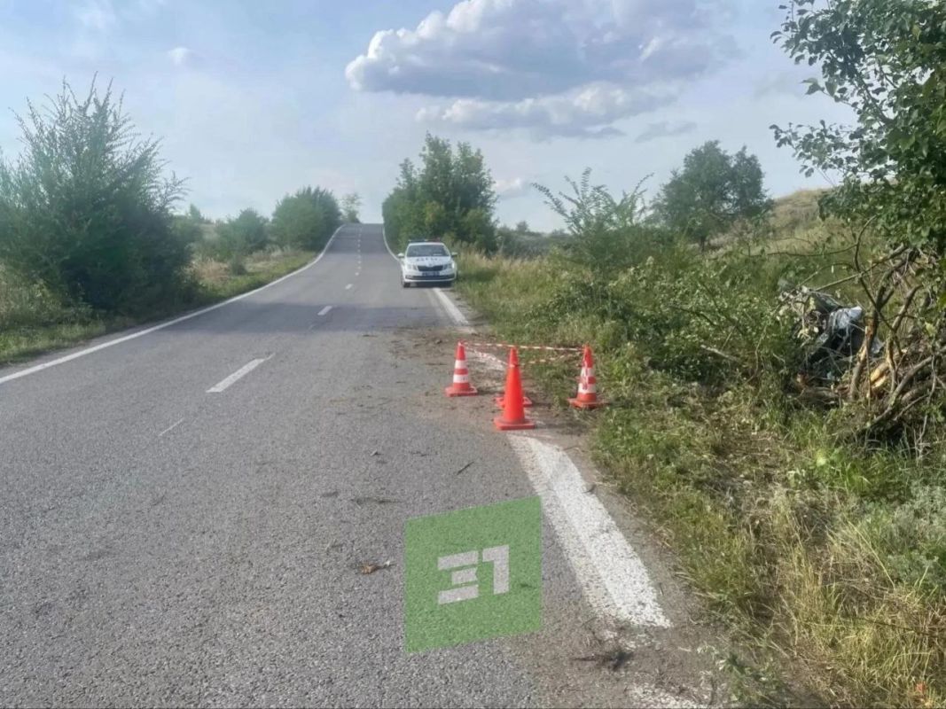 Пьяный пенсионер сбил дерево и перевернулся Пьяный пенсионер сбил дерево и перевернулся