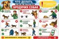 Заявки на отлов животных без владельцев от заинтересованных лиц принимаются Управлением охраны окружающей среды и экологического контроля администрации города Магнитогорска: