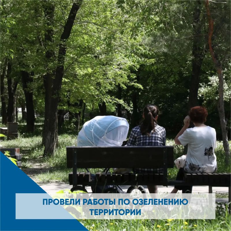 Сквер, объединяющий поколения Сквер, объединяющий поколения