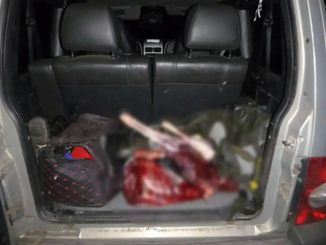 В Нагайбакском районе полицейские задержали подозреваемого в незаконной охоте В Нагайбакском районе полицейские задержали подозреваемого в незаконной охоте